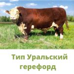http://fncbst.ru/?page_id=11469